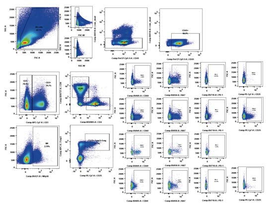 小鼠NK、T细胞亚群流式检测实例.jpg