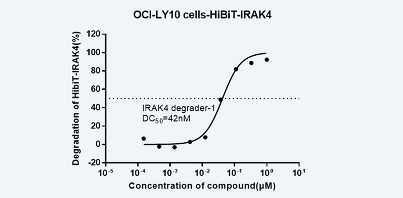 检测HiBiT-IRAK4-过表达-OCI-LY10-细胞中-HiBiT-IRAK4-的降解百分比.png