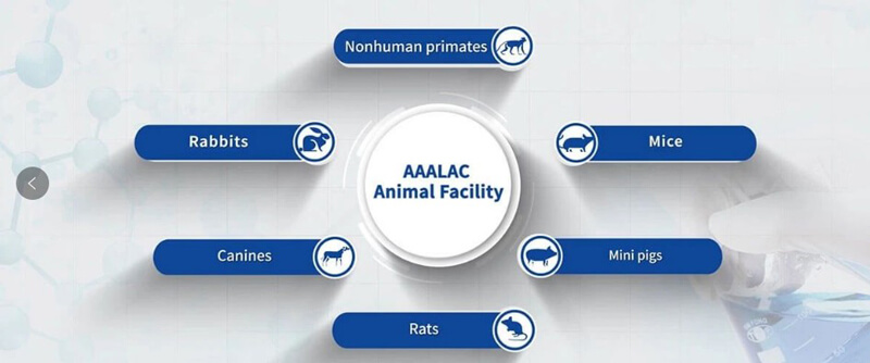亚游app官网下载临床前研究实验室通过国际实验动物评估和认可（AAALAC）.jpg
