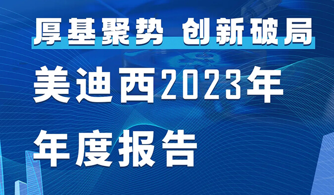 亚游app官网下载2023年年度报告
